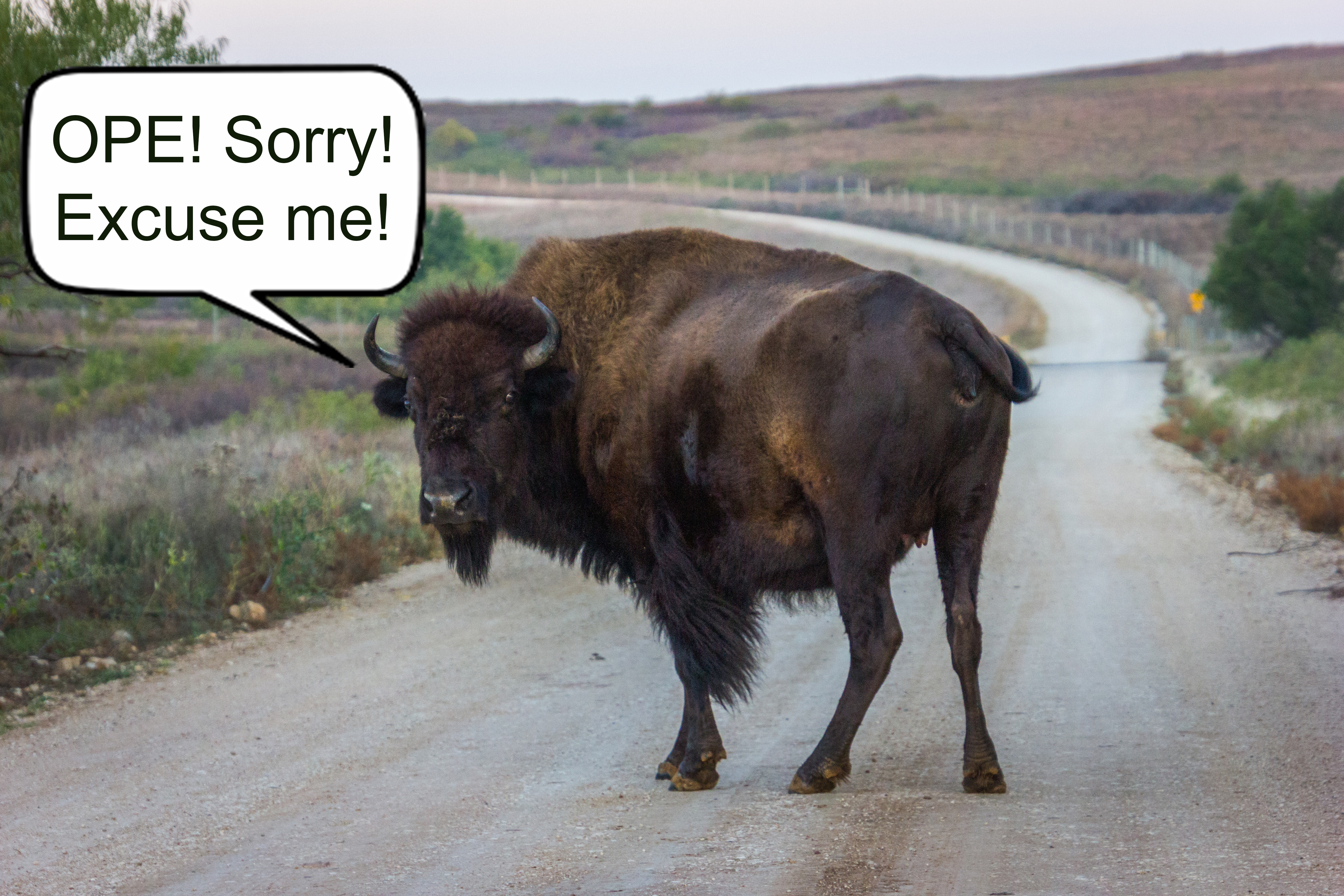 404 - Page Not Found